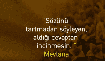 mevlana.PNG